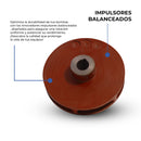 Bomba Para Agua 10 Hp Trifasica Cabezal 3x2 Hab 220/440v