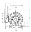 Motor Weg 15 Hp 3600 Rpm 230/460 Eficiencia Premium Estandar Mod. 12906579