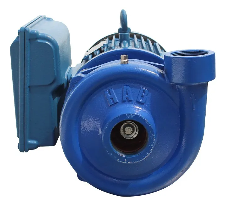 Bomba Para Agua 5 Hp 2x2 Hab Centrifuga 220v Bifasica 2 Lineas